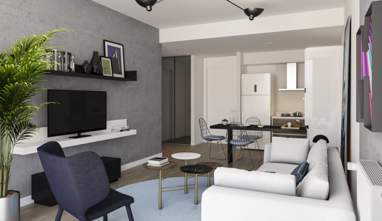 1+1 kitchen+livingroom 2_Easy-Resize.com